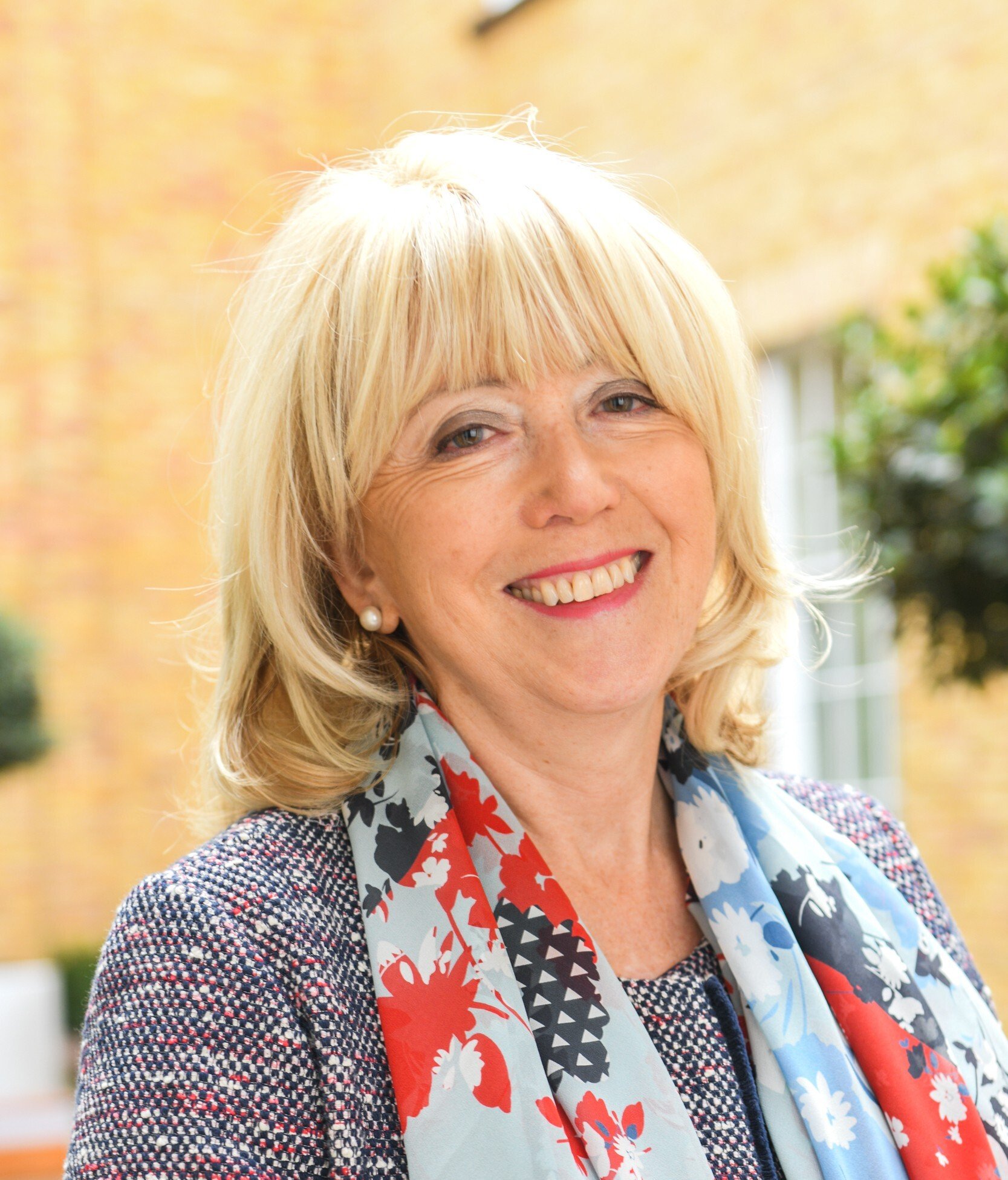 Sue Smith<br><p>Advisor, former CEO HCA Princess Grace Hospital</p>